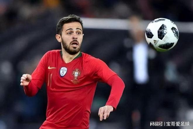 荷兰前锋沃 荷兰前锋沃